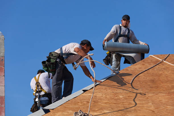 Best Residential Roofing Contractor  in Way, NE
