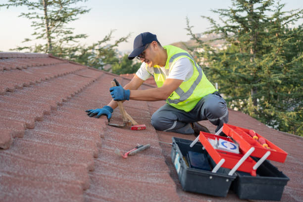 Best New Roof Installation  in Way, NE