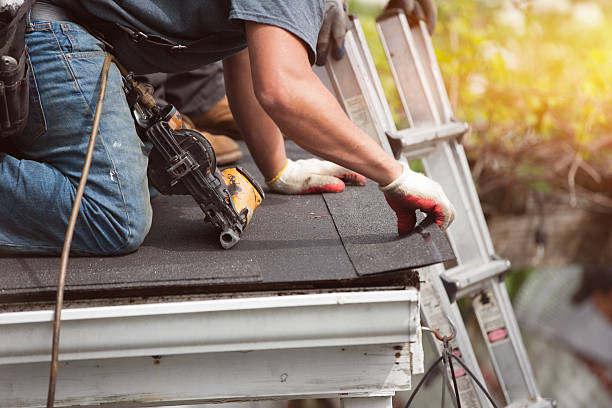 Best Metal Roofing Contractor  in Way, NE