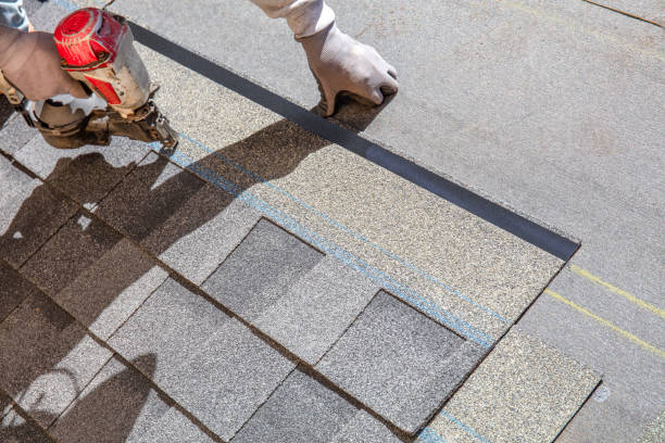 Best Roof Leak Repair  in Way, NE
