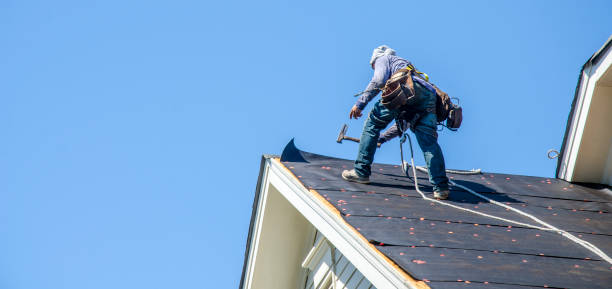 Best Roof Replacement Cost  in Way, NE